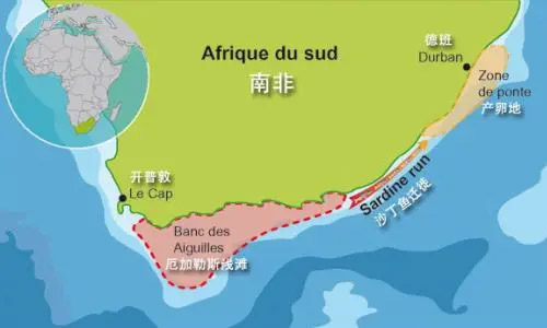 出口中國的機遇如何拉動南非經濟增長